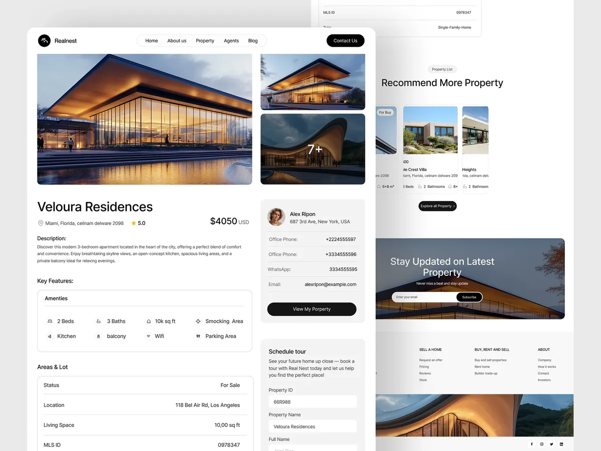 Real Estate & Property
